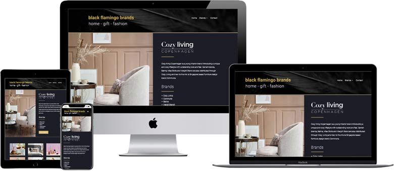 Website design in Worthing for LIfestyle brand